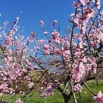 Am Reilsbach * Cochem