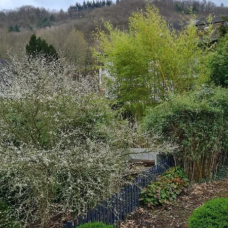 Apartamento Am Reilsbach