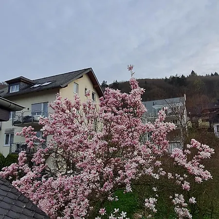 Apartment Am Reilsbach
