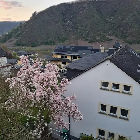Apartment Am Reilsbach