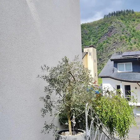 Apartment Am Reilsbach Cochem