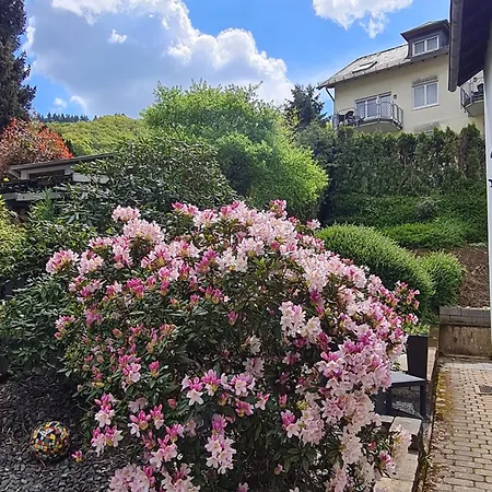 Apartment Am Reilsbach Cochem