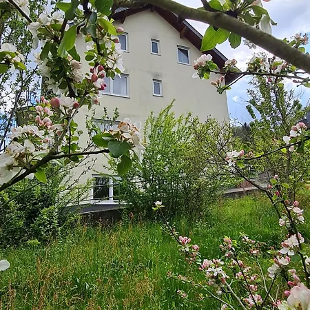 Am Reilsbach Cochem