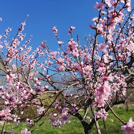 Am Reilsbach * Cochem
