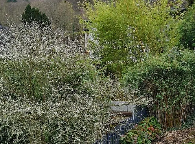 Apartamento Am Reilsbach