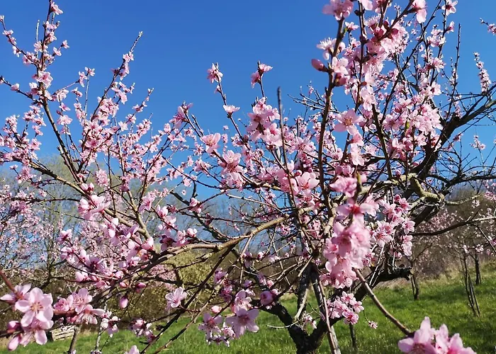 Am Reilsbach * Cochem